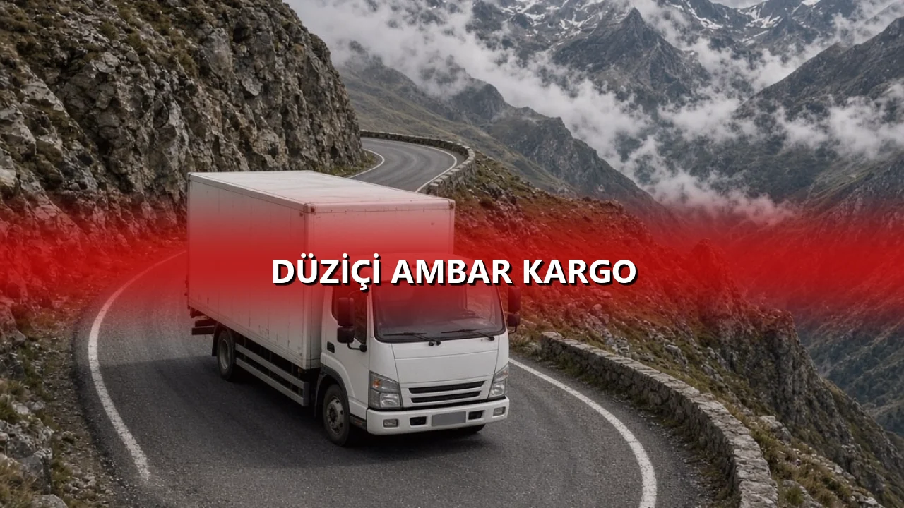 Düziçi Ambar Kargo